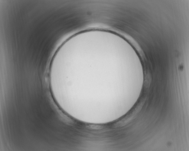 X0000116391295201001131822