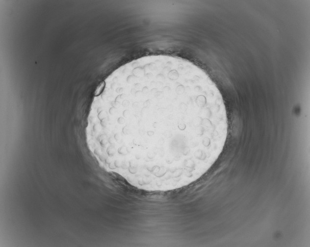 X0000116391297201001131821