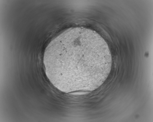 X0000116391298201001131821