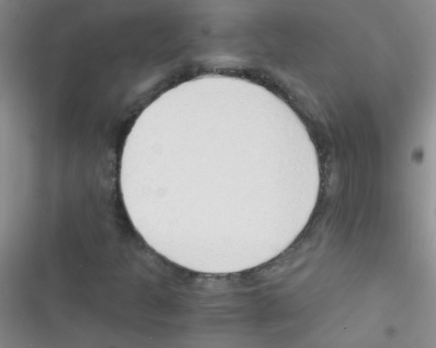 X0000116391301201001131821