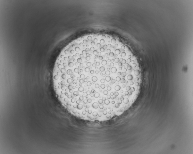 X0000116391302201001131821