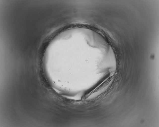 X0000116391303201001131821