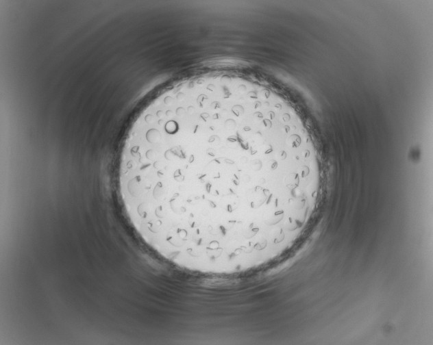 X0000116391305201001131821