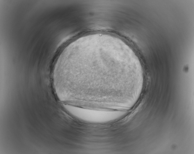 X0000116391306201001131821