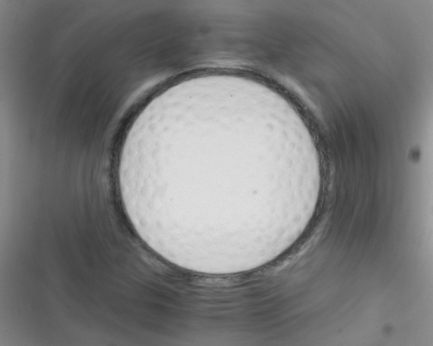 X0000116391307201001131821