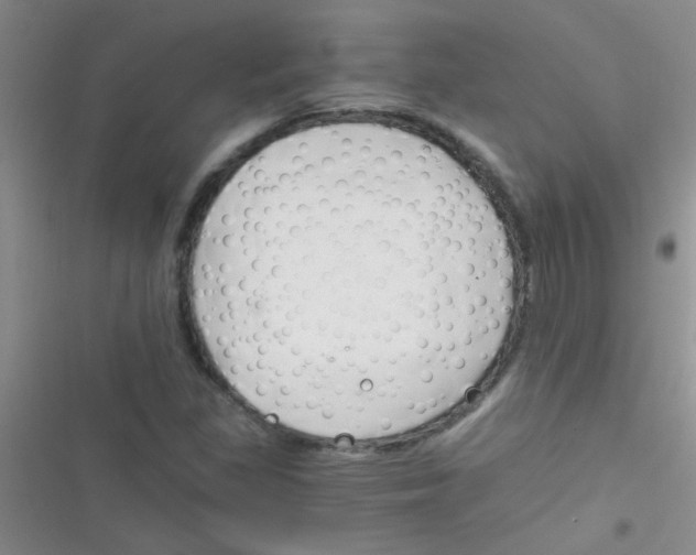 X0000116391309201001131821