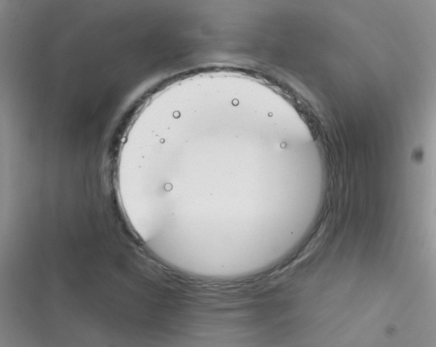 X0000116391310201001131821