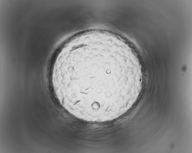 X0000116391311201001131821