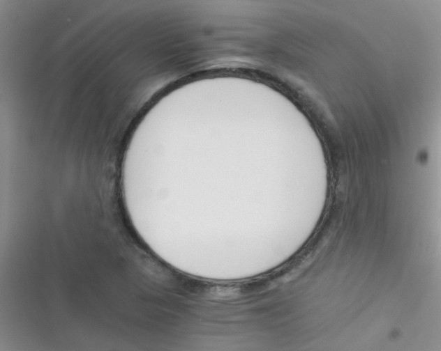 X0000116391313201001131821