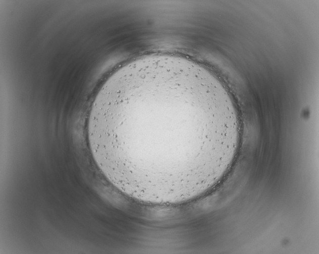 X0000116391314201001131821
