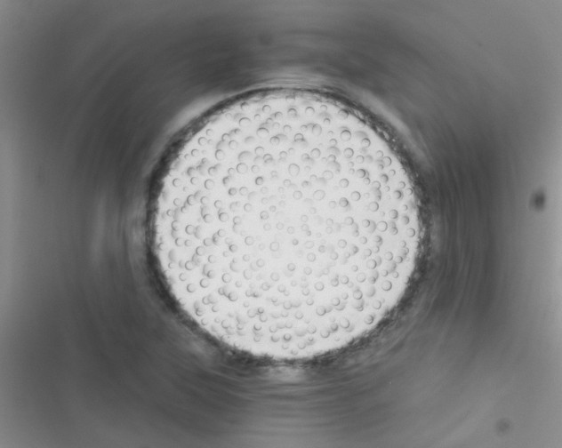 X0000116391315201001131821