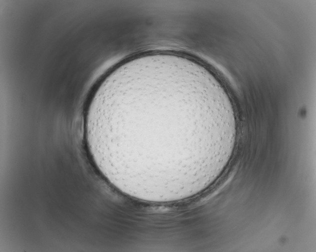 X0000116391317201001131821