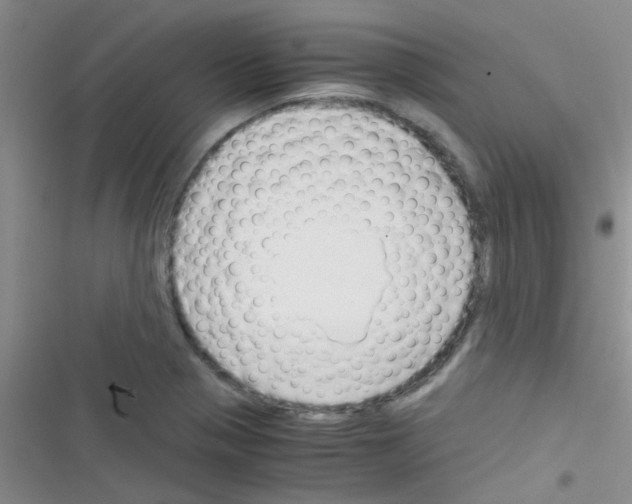 X0000116391321201001131822