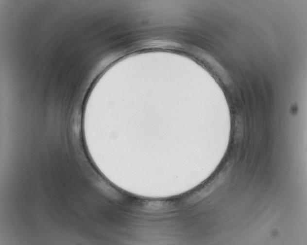 X0000116391322201001131822