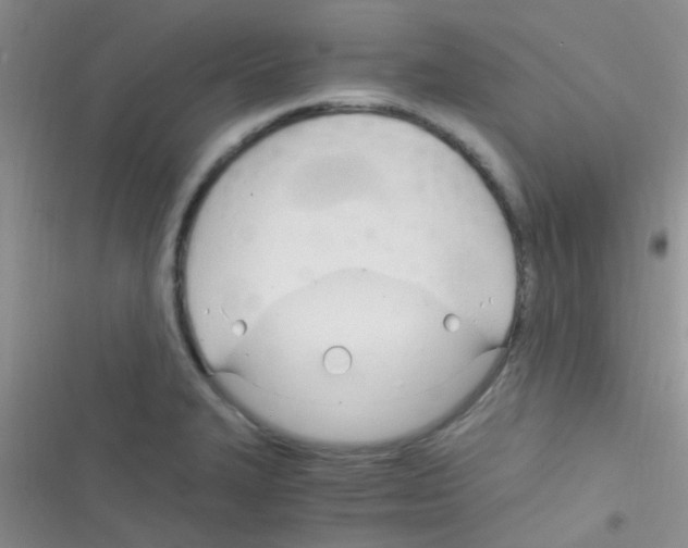 X0000116391327201001131822