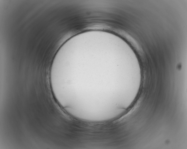 X0000116391329201001131822