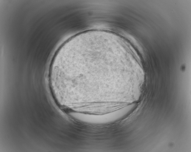 X0000116391331201001131822