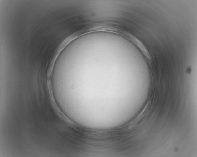 X0000116391338201001131822