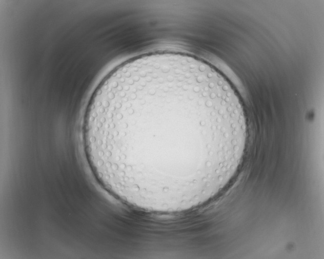 X0000116391339201001131822