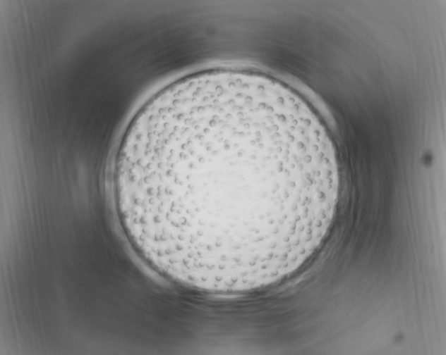 X0000116391343201001131822