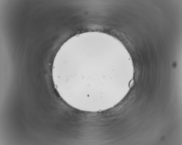 X0000116391345201001131821
