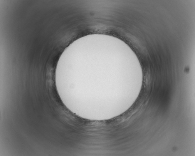 X0000116391346201001131821