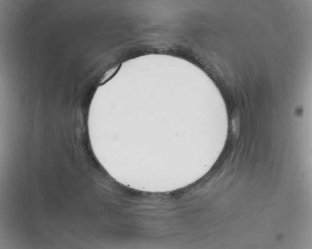 X0000116391347201001131821