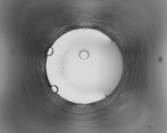X0000116391348201001131821