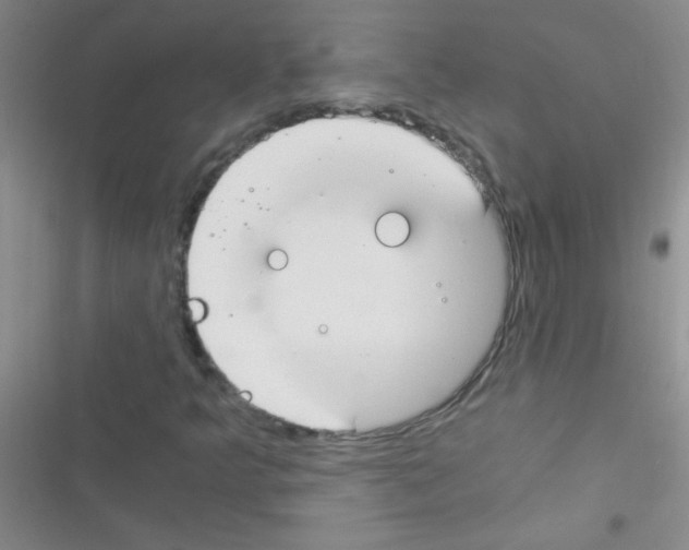 X0000116391349201001131821