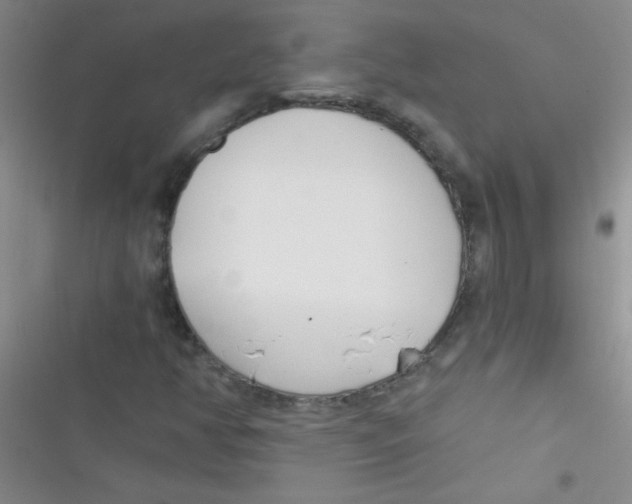 X0000116391350201001131821