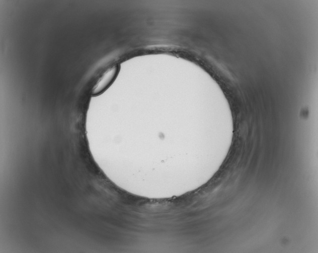 X0000116391351201001131821