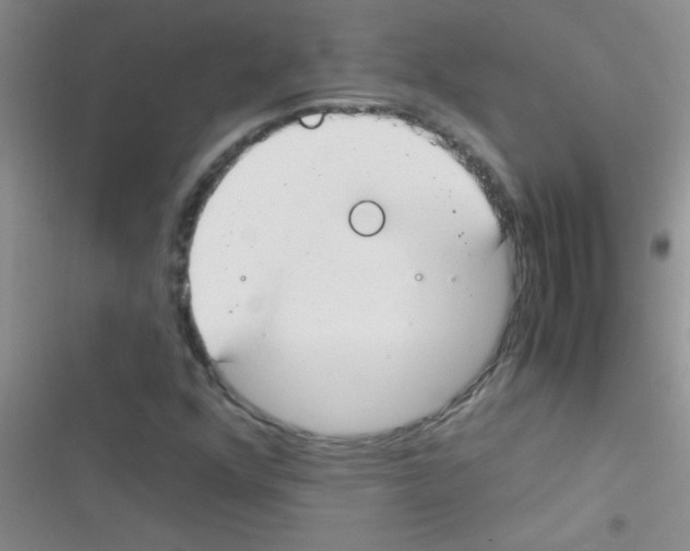 X0000116391352201001131821