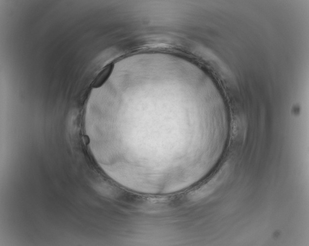 X0000116391353201001131821