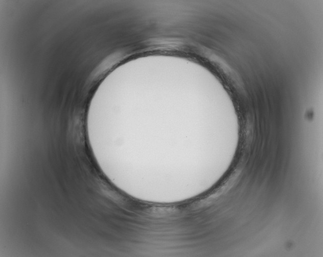 X0000116391354201001131821
