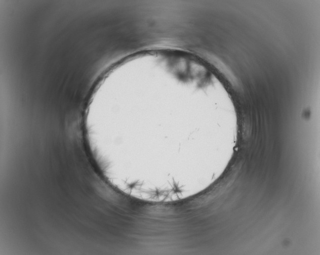 X0000116391356201001131821