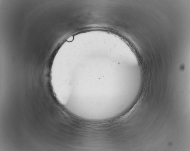 X0000116391357201001131821