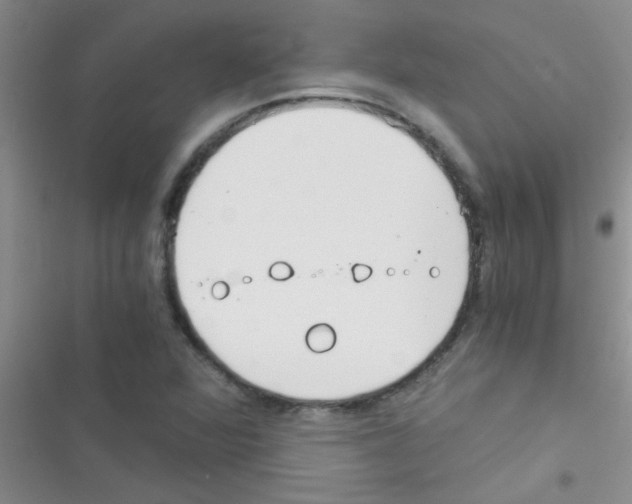 X0000116391360201001131821