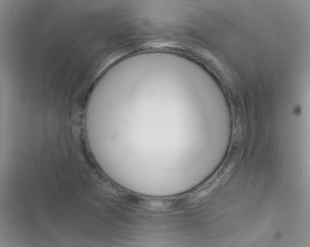 X0000116391361201001131821