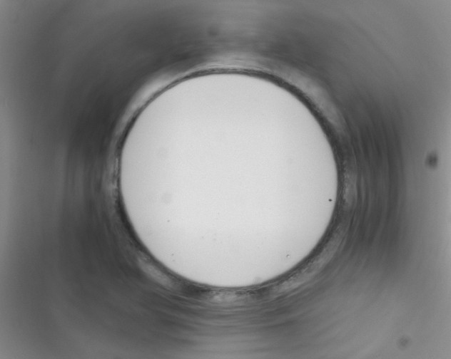 X0000116391366201001131821