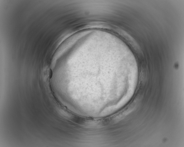 X0000116391369201001131821