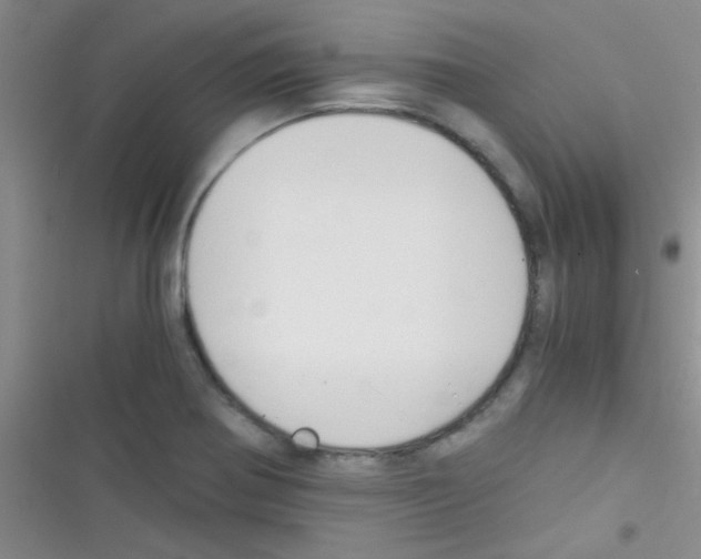 X0000116391370201001131821