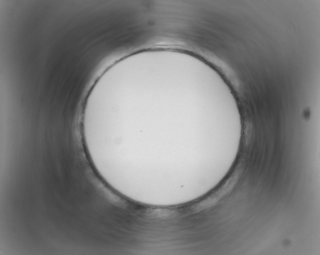 X0000116391374201001131821