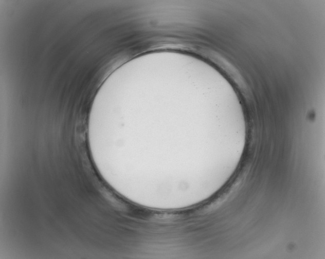 X0000116391377201001131821