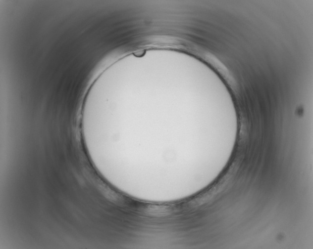 X0000116391378201001131821