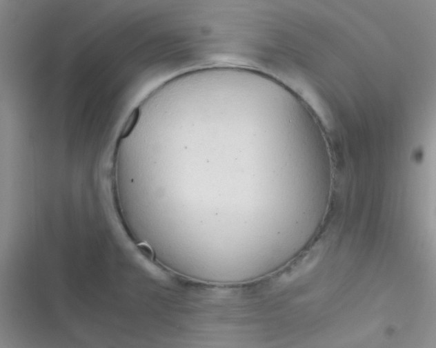 X0000116391381201001131821