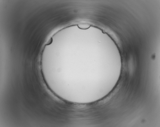 X0000116391382201001131821