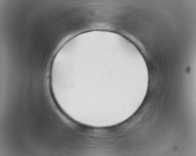 X0000116391383201001131821
