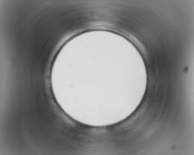 X0000116391384201001131821