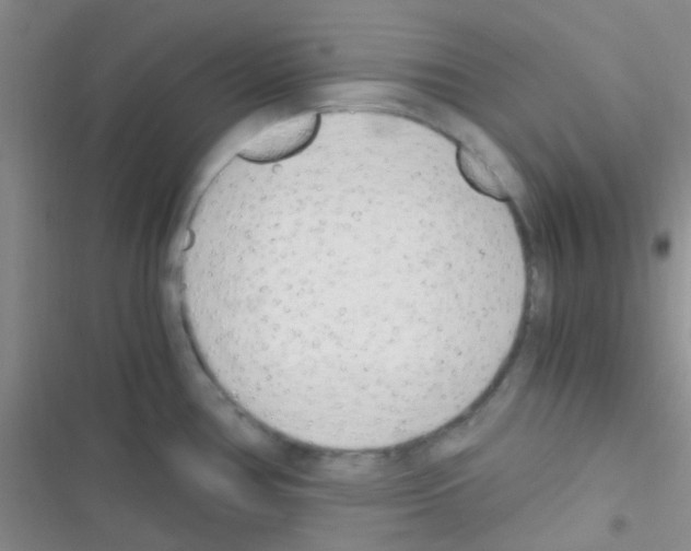 X0000116391386201001131821