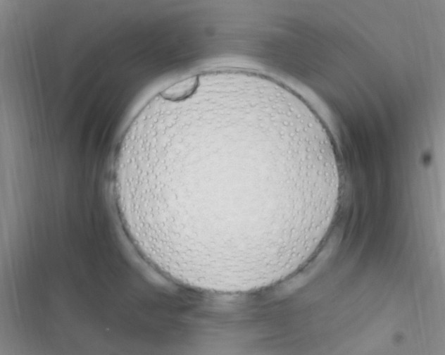 X0000116391390201001131821